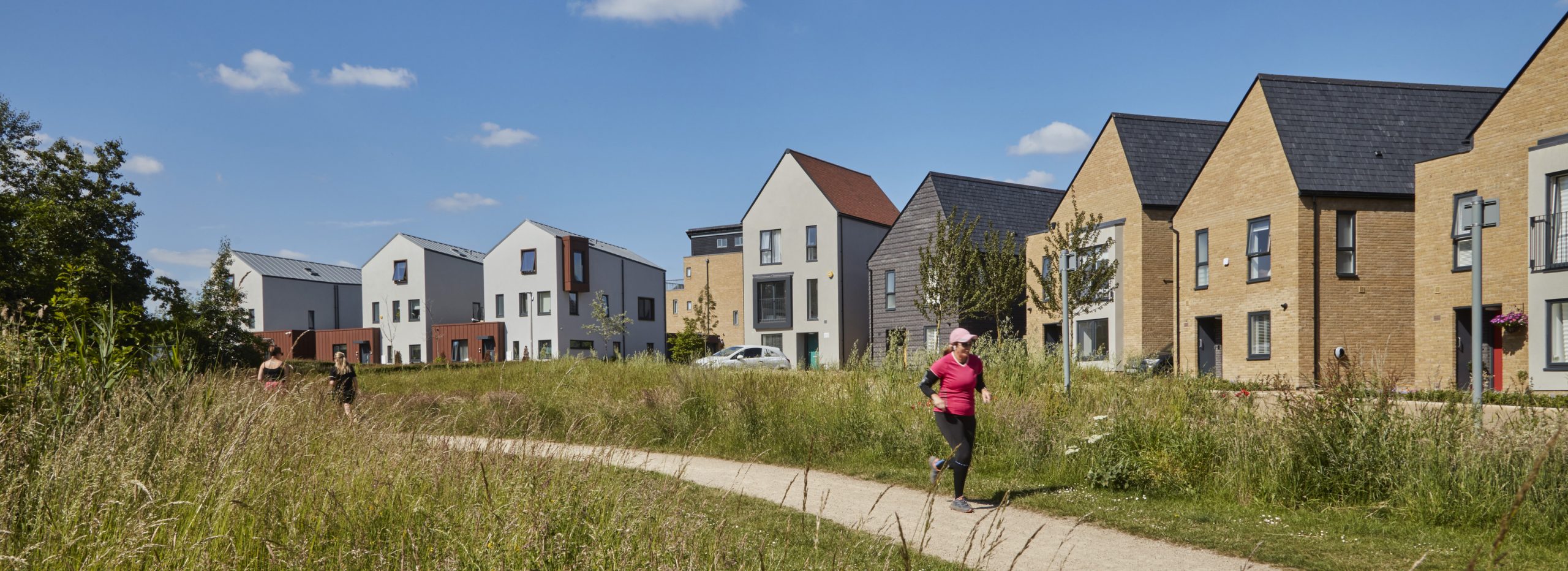 CP2A Newhall landscape